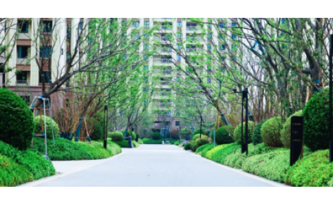 如何開展商業物業的經營管理？